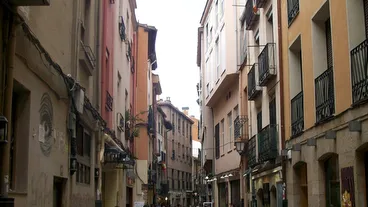 Calle Laurel