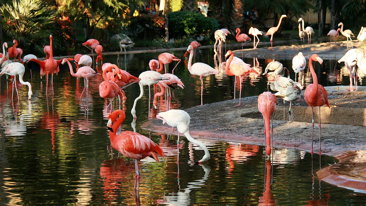 Zoo de Barcelona
