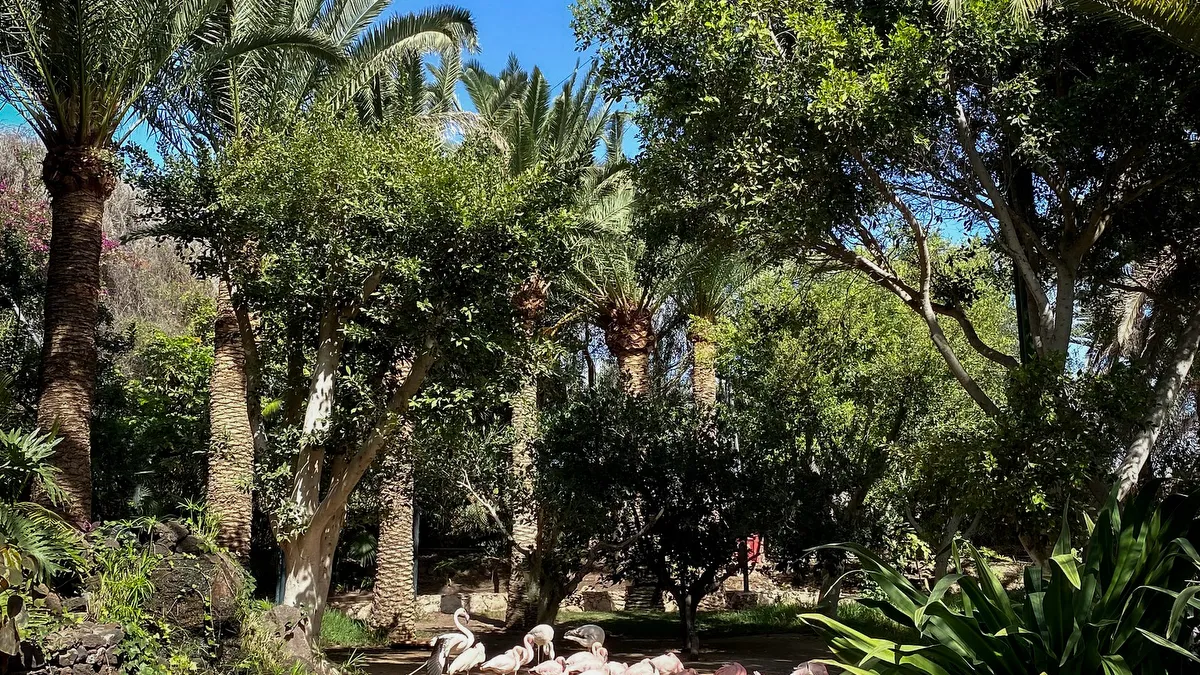 Oasis Wildlife Fuerteventura