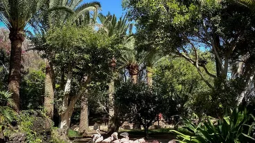 Oasis Wildlife Fuerteventura