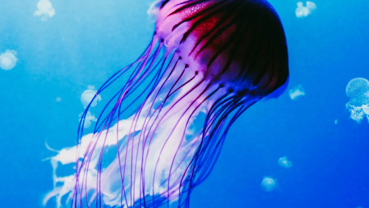 Acuario de Sevilla