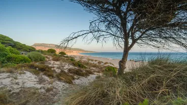 Playa de Bolonia