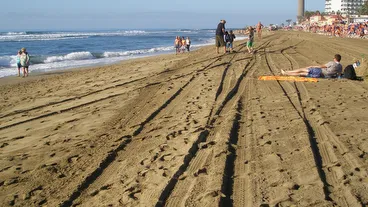 Playa de Maspalomas