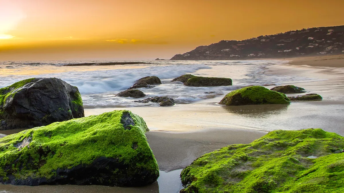 Playa de Zahara de los Atunes