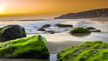 Playa de Zahara de los Atunes