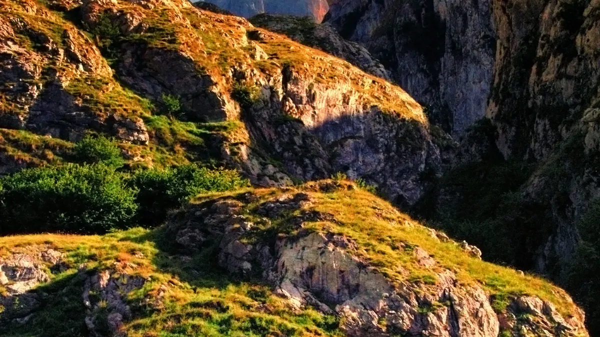Picos de Europa National Park