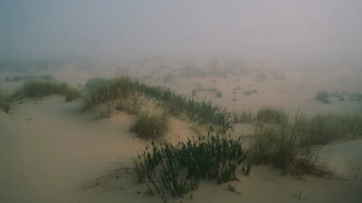 Doñana National Park