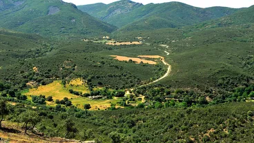 Cabañeros National Park